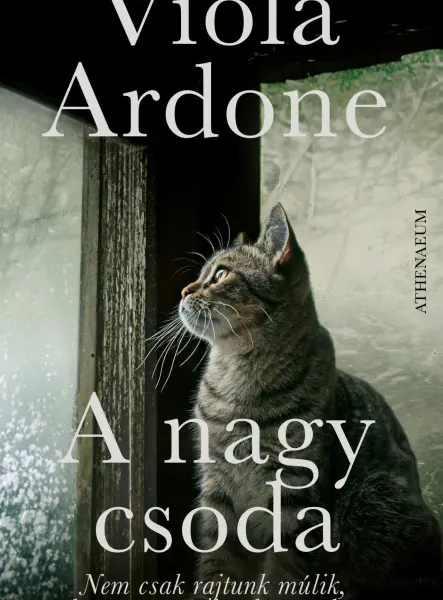 A NAGY CSODA A NAGY CSODA