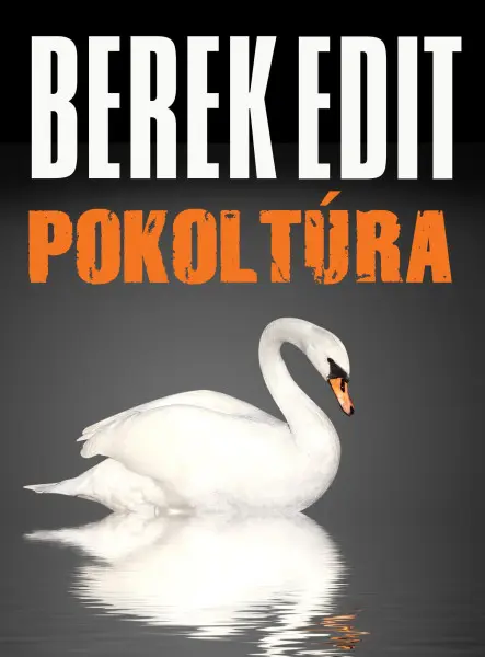 Pokoltúra 