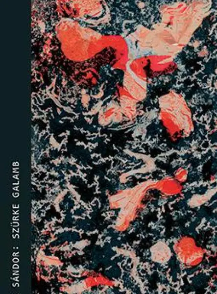 Szürke galamb Szürke galamb