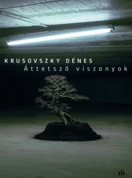 Áttetsző viszonyok 