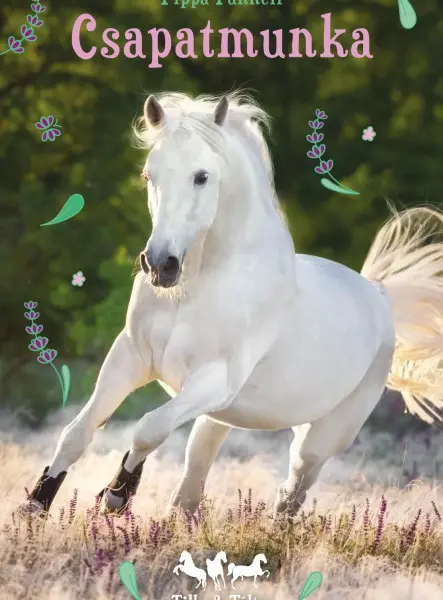 TILLY ÉS TÁLTOS 3. - CSAPATMUNKA