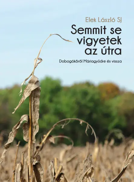 SEMMIT SE VIGYETEK AZ ÚTRA - DOBOGÓKŐRŐL MÁRIAGYŰDRE ÉS VISSZA
