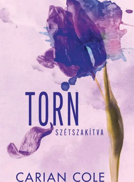 TORN - SZÉTSZAKÍTVA (ÉLDEKORÁLT)