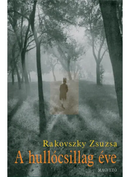 A HULLÓCSILLAG ÉVE