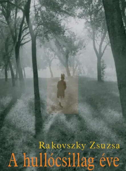 A HULLÓCSILLAG ÉVE A HULLÓCSILLAG ÉVE