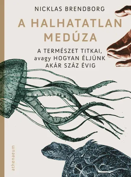 A HALHATATLAN MEDÚZA - A TERMÉSZET TITKAI, AVAGY HOGYAN ÉLJÜNK AKÁR SZÁZ ÉVIG