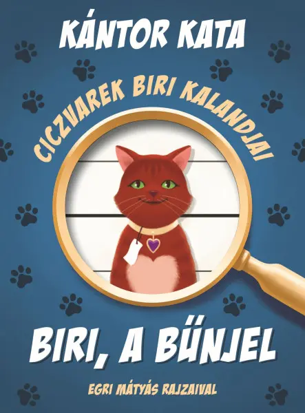 CICZVAREK BIRI KALANDJAI - BIRI, A BŰNJEL