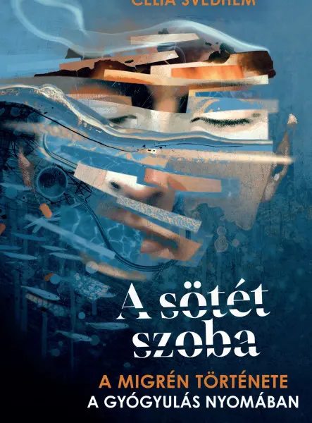 A SÖTÉT SZOBA - A MIGRÉN TÖRTÉNETE - A GYÓGYULÁS NYOMÁBAN
