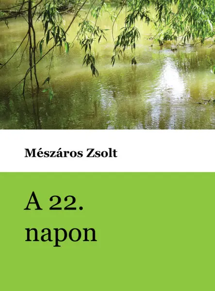 A 22. napon