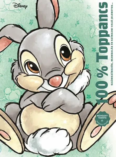 DISNEY - 100% TOPPANCS DISNEY - 100% TOPPANCS