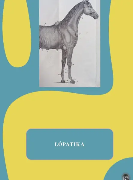 LÓPATIKA