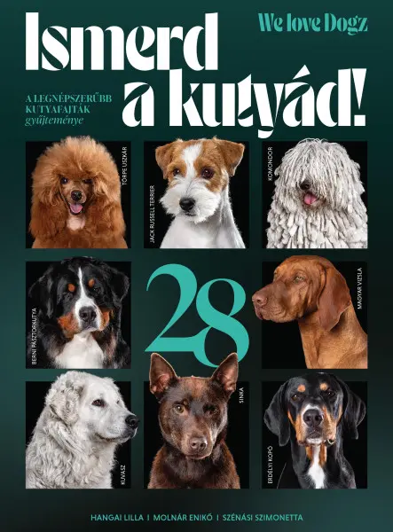 ISMERD A KUTYÁD! - A LEGNÉPSZERŰBB KUTYAFAJTÁK GYŰJTEMÉNYE ISMERD A KUTYÁD! - A LEGNÉPSZERŰBB KUTYAFAJTÁK GYŰJTEMÉNYE