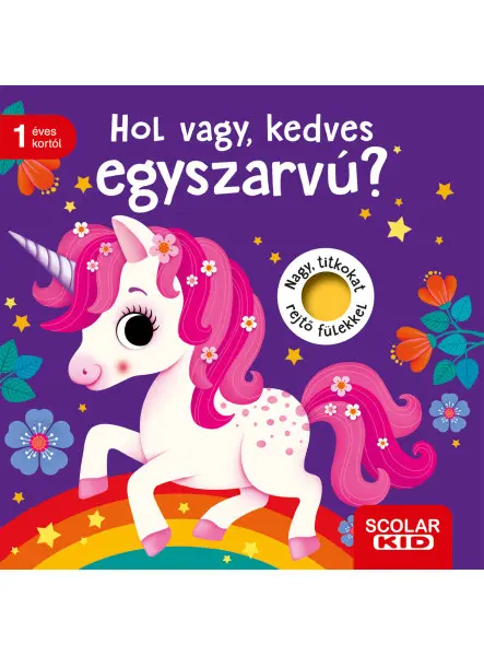 HOL VAGY, KEDVES EGYSZARVÚ? - NAGY, TITKOKAT REJTŐ FÜLEKKEL