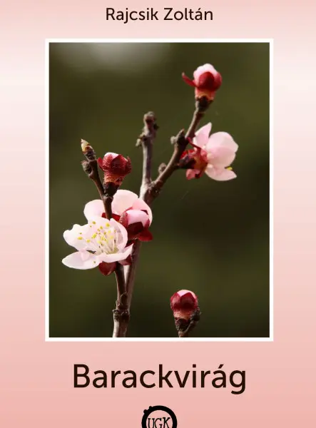Barackvirág Barackvirág
