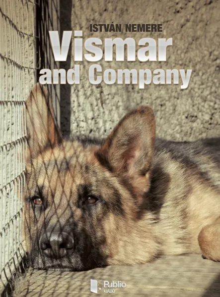 Vismar and Company