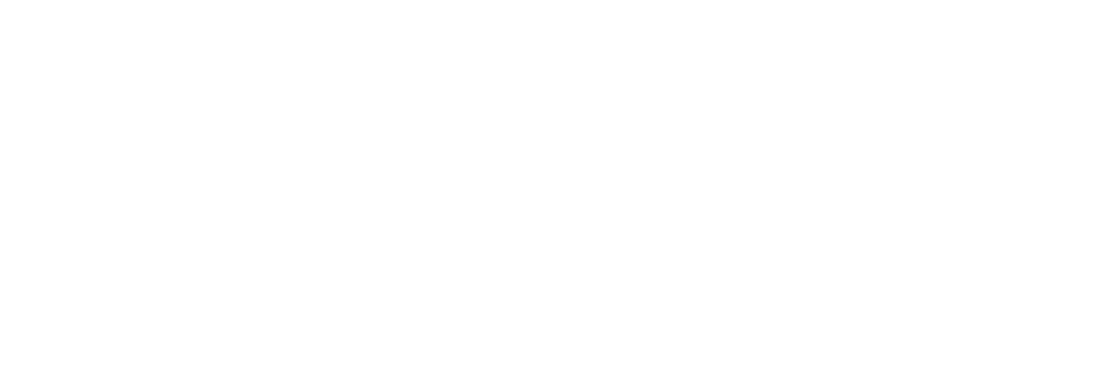 Publio logo