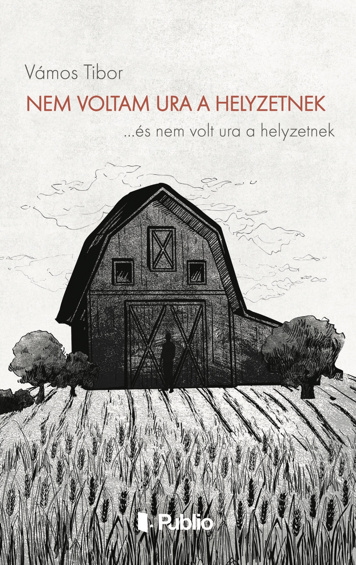 Nem voltam ura a helyzetnek Nem voltam ura a helyzetnek