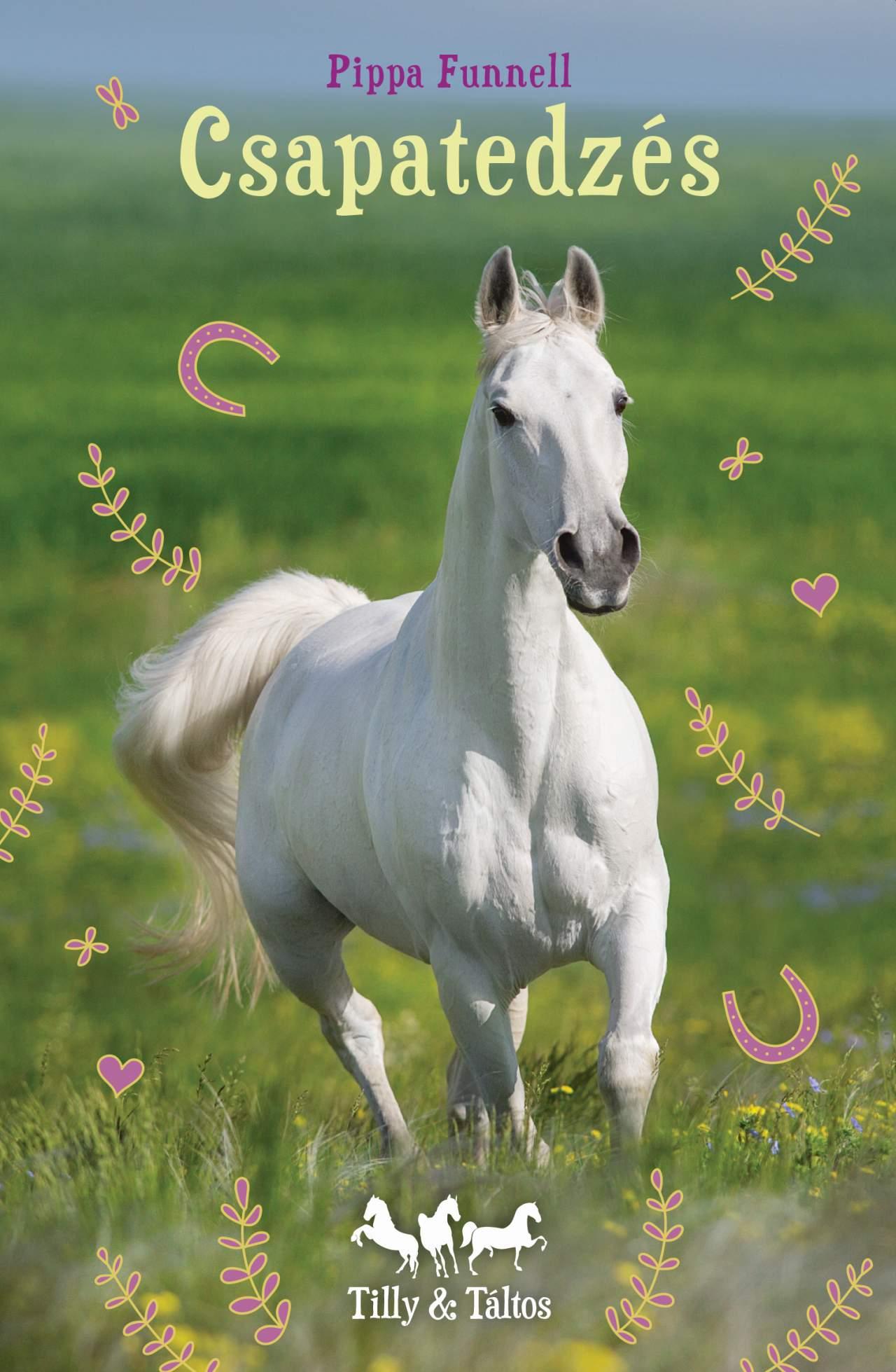 TILLY ÉS TÁLTOS - CSAPATEDZÉS