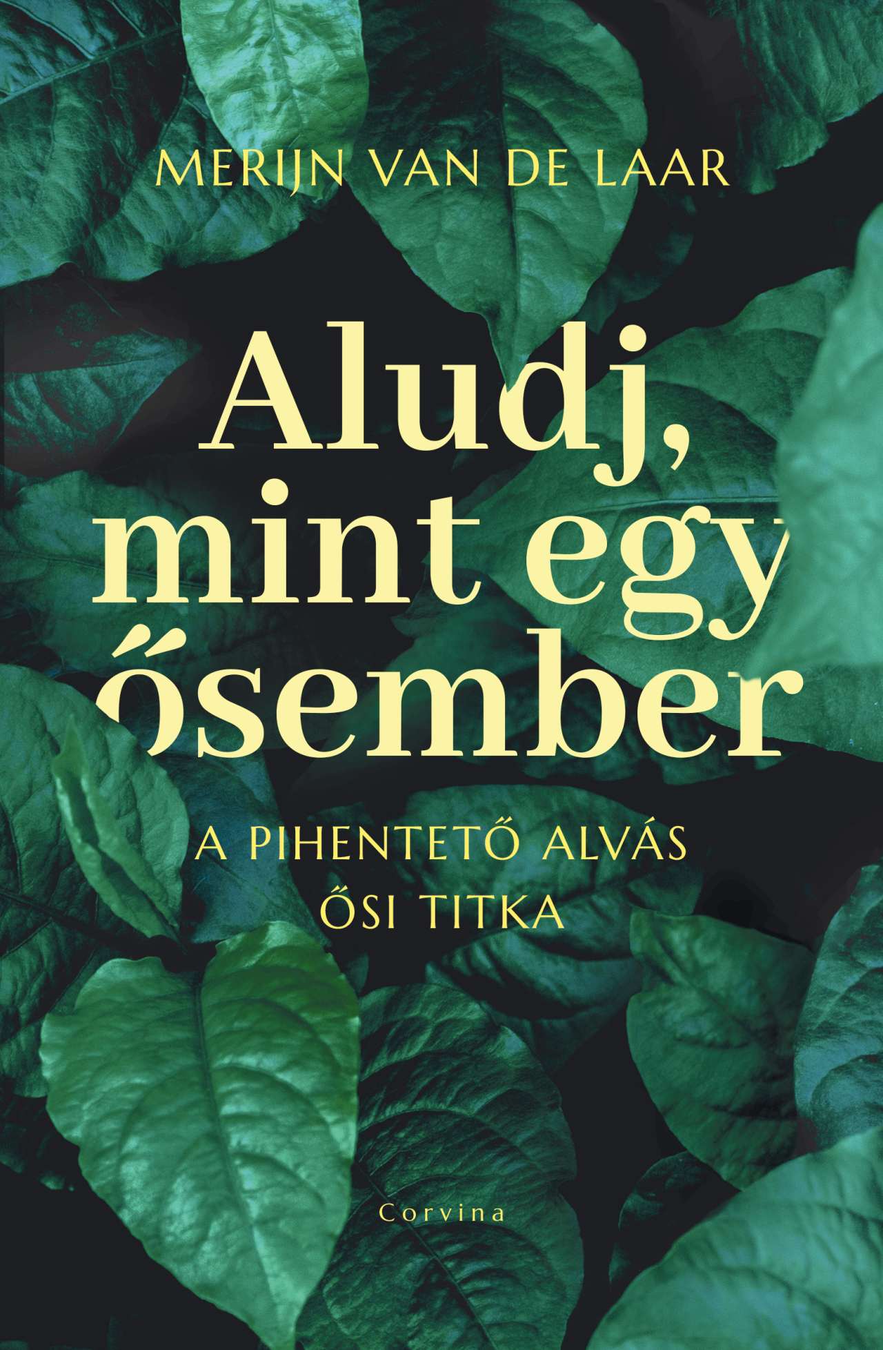 ALUDJ, MINT EGY ŐSEMBER  A PIHENTETŐ ALVÁS ŐSI TITKA