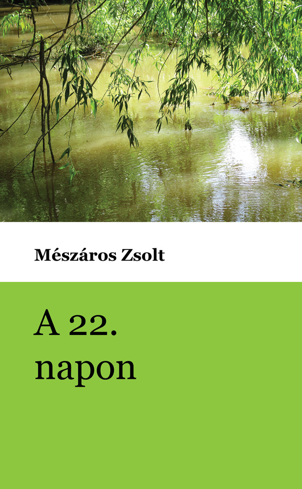 A 22. napon