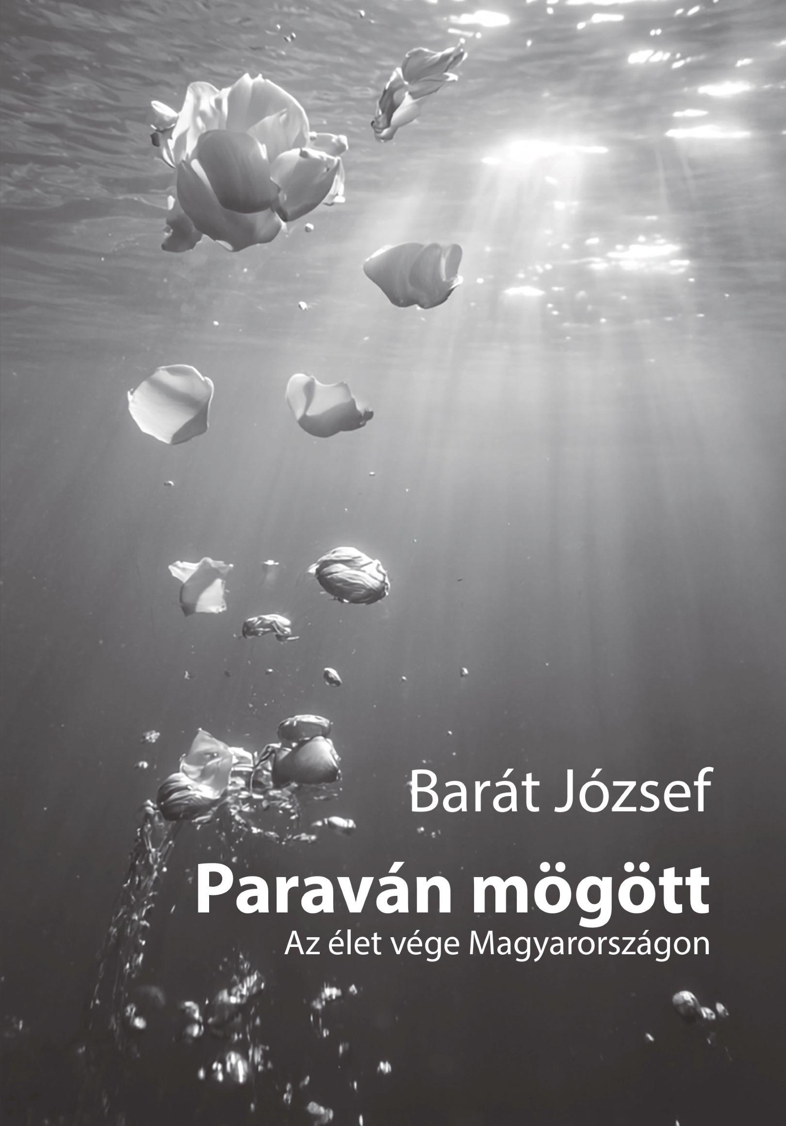 PARAVÁN MÖGÖTT - AZ ÉLET VÉGE MAGYARORSZÁGON