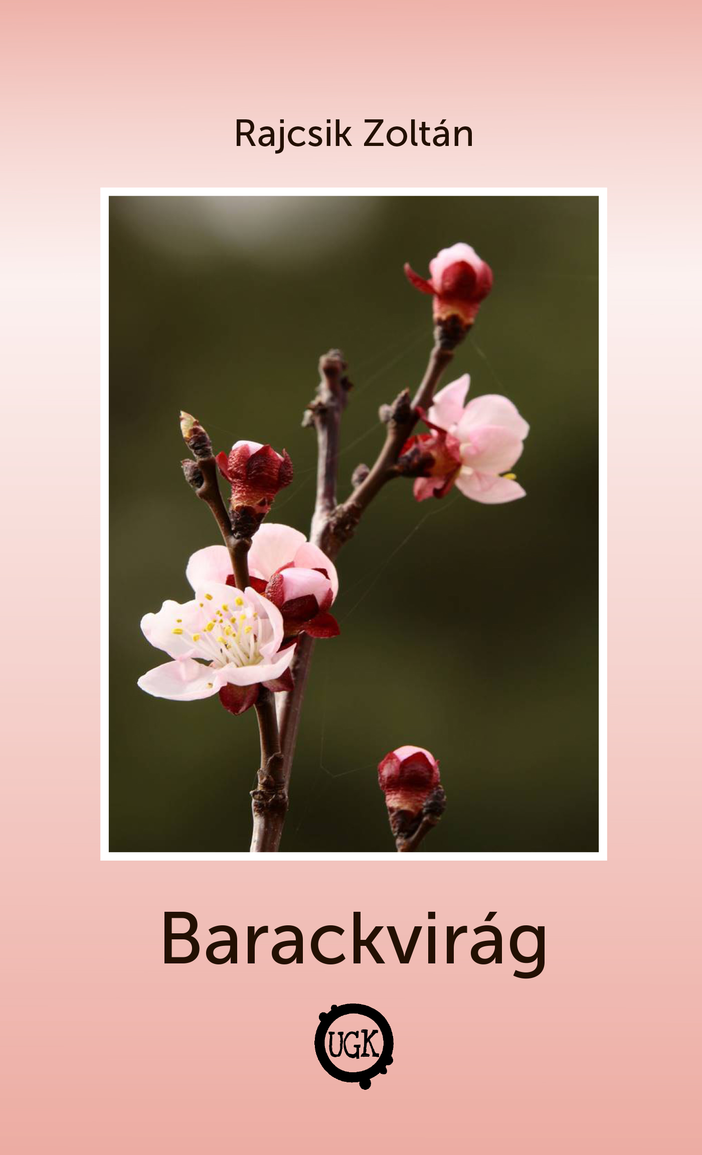 Barackvirág 
