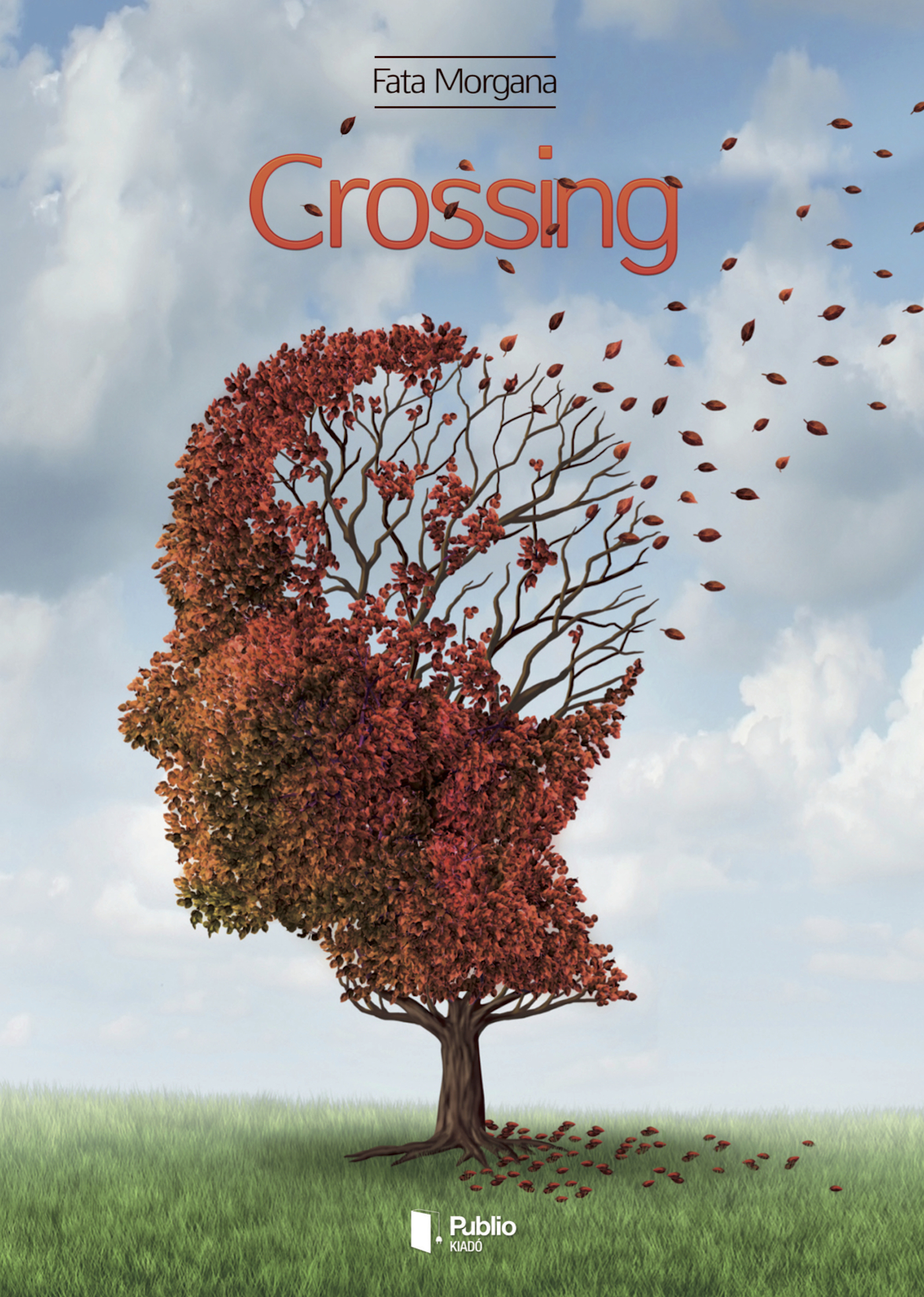 Crossing Crossing