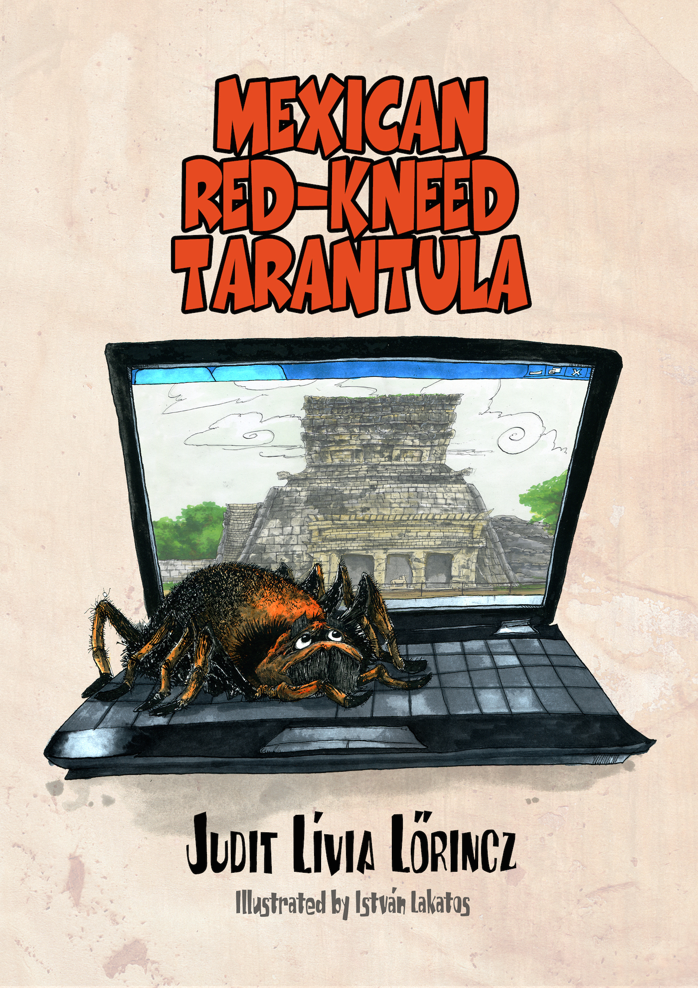 The Mexican Red-kneed Tarantula The Mexican Red-kneed Tarantula